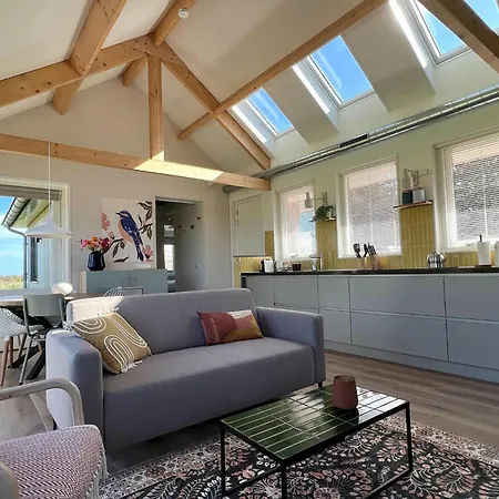 In Texel Near De Hors Reserve * Den Hoorn (North Holland)