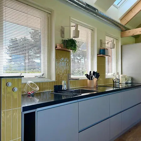 In Texel Near De Hors Reserve * Den Hoorn (North Holland)