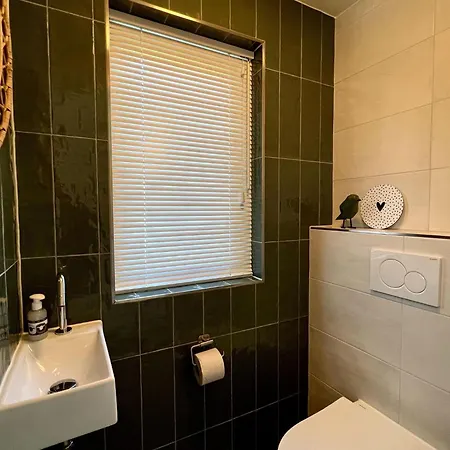 Holiday home In Texel Near De Hors Reserve Den Hoorn (North Holland)