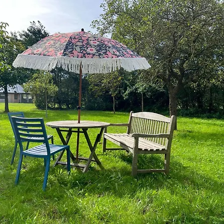 In Texel Near De Hors Reserve Holiday home Den Hoorn (North Holland)