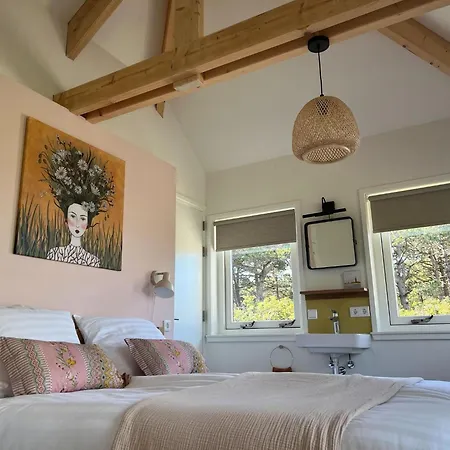 In Texel Near De Hors Reserve