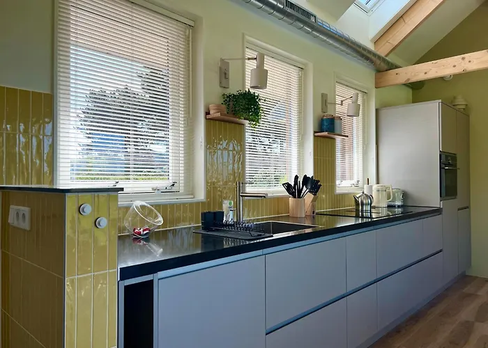 In Texel Near De Hors Reserve * Den Hoorn (North Holland)